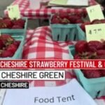 8 Things to Do: Connecticut Sea Music Festival, Cheshire Strawberry Festival and more