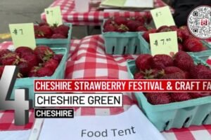 8 Things to Do: Connecticut Sea Music Festival, Cheshire Strawberry Festival and more
