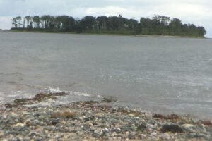 Five rescued from Long Island Sound off Milford