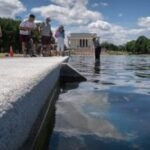 Trump tries to blame Reflecting Pool woes on vandalism, without offering substantiation