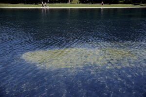 Reflecting Pool liner was cut with a sharp knife or razor, National Park Service says