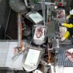 What’s Working: Why hamburgers cost more today