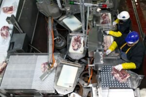 What’s Working: Why hamburgers cost more today