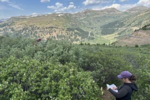 Want to predict wildfires? The key may be underneath Colorado, Western states