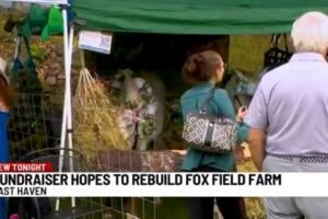 Community raises money for Branford farm devastated by fire