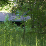 Skeletal remains of 3 people discovered in Burlington home