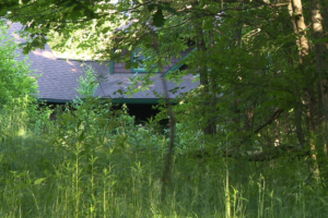 Skeletal remains of 3 people discovered in Burlington home