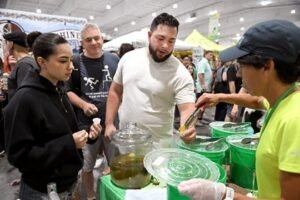 Connecticut Pickle Festival returns for its biggest celebration yet! What's new this year?