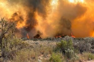 Wind-driven wildfire burns two structures in Rifle, forces evacuations