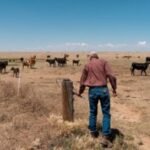 Ready for your next steak? These ranchers are battling drought to bring your way.