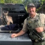 Wild deer captured and kept in a dog crate for weeks. A Bay Area resident is cited
