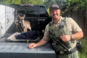 Wild deer captured and kept in a dog crate for weeks. A Bay Area resident is cited