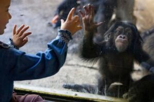 L.A. Zoo, tattered and losing members, needs private steward, grand jury finds