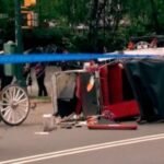 New York mayor, other leaders push to ban horse-drawn carriage rides after Indian teen's death