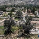 Overgrown lots in Altadena, Palisades pose fire risk. L.A. County is pushing to clear them