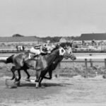 Final stretch: NYC’s last horse track, Aqueduct, ending live races