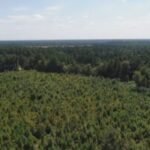 Brunswick County could become home to the first U.S. deep-sea minerals plant