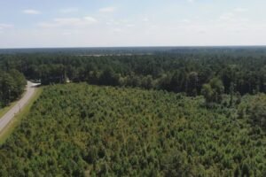 Brunswick County could become home to the first U.S. deep-sea minerals plant