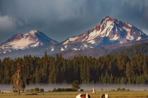 A Summer Visitor’s Guide to Oregon’s Three Sisters