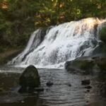 State parks filling up and some are closing