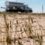 Eastern Colorado farmers brace for worst wheat harvest since 1965