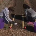 What's Right with Schools: Groton high school students support community by growing fresh food