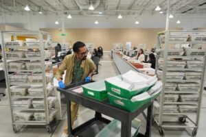Nearly 150,000 mail ballots rejected in California's primary despite efforts to count every vote