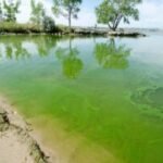 Colorado health officials are tracking toxic algae blooms with warnings of health impacts