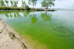 Colorado health officials are tracking toxic algae blooms with warnings of health impacts