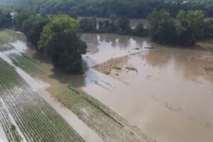 Connecticut farms to receive $52M for severe weather losses. Who qualifies?