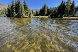 $30M will be spent to clear the water at scenic Grand Lake