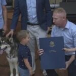 Husky honored for chasing bear away from 6-year-old boy in Torrington