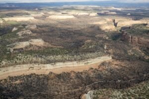 Helicopter was unable to rescue firefighters in deadly Colorado wildfire due to heavy smoke, report finds
