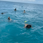 'It was like a huge dog bite': Niantic man recounts shark attack while snorkeling in the Bahamas