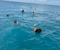 'It was like a huge dog bite': Niantic man recounts shark attack while snorkeling in the Bahamas