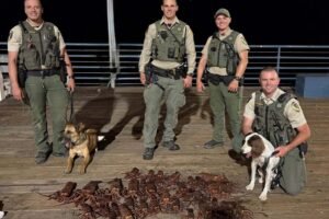 Lobster poachers pinched in Santa Monica; crustaceans stuffed in bags, backpacks, a baby stroller