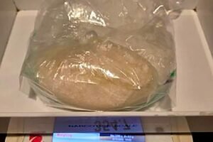 Passenger leaves behind huge hunk of meth in rideshare vehicle