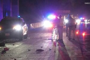 L.A. firefighters mourn colleague killed in highway collision with semi truck