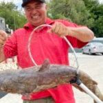 Massive 'scale-breaking' catfish caught in Southern California lake; 'Catzilla' still on the loose