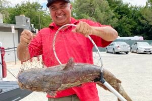Massive 'scale-breaking' catfish caught in Southern California lake; 'Catzilla' still on the loose