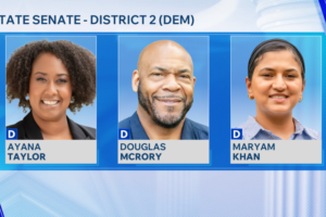 Connecticut primary election: 3 Democrats battle for 2nd District Senate nomination