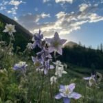 Colorado turns 150 years young today. Happy sesquicentennial to the Centennial State.