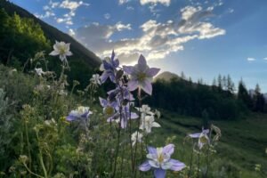 Colorado turns 150 years young today. Happy sesquicentennial to the Centennial State.