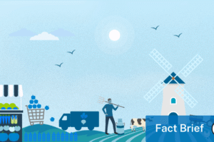 Do solar plants require backup from fossil fuels?