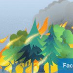 Do N95 masks filter pollution from wildfires?