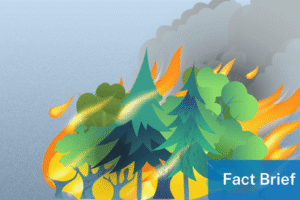 Do N95 masks filter pollution from wildfires?