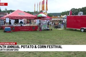 North Branford hosts 24th annual Potato and Corn Festival despite rainy weather