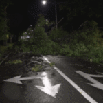 Bristol, other areas hit by downed trees, power outages amid severe weather