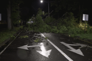 Bristol, other areas hit by downed trees, power outages amid severe weather
