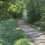 Deceased man found near Airline Trail in Colchester